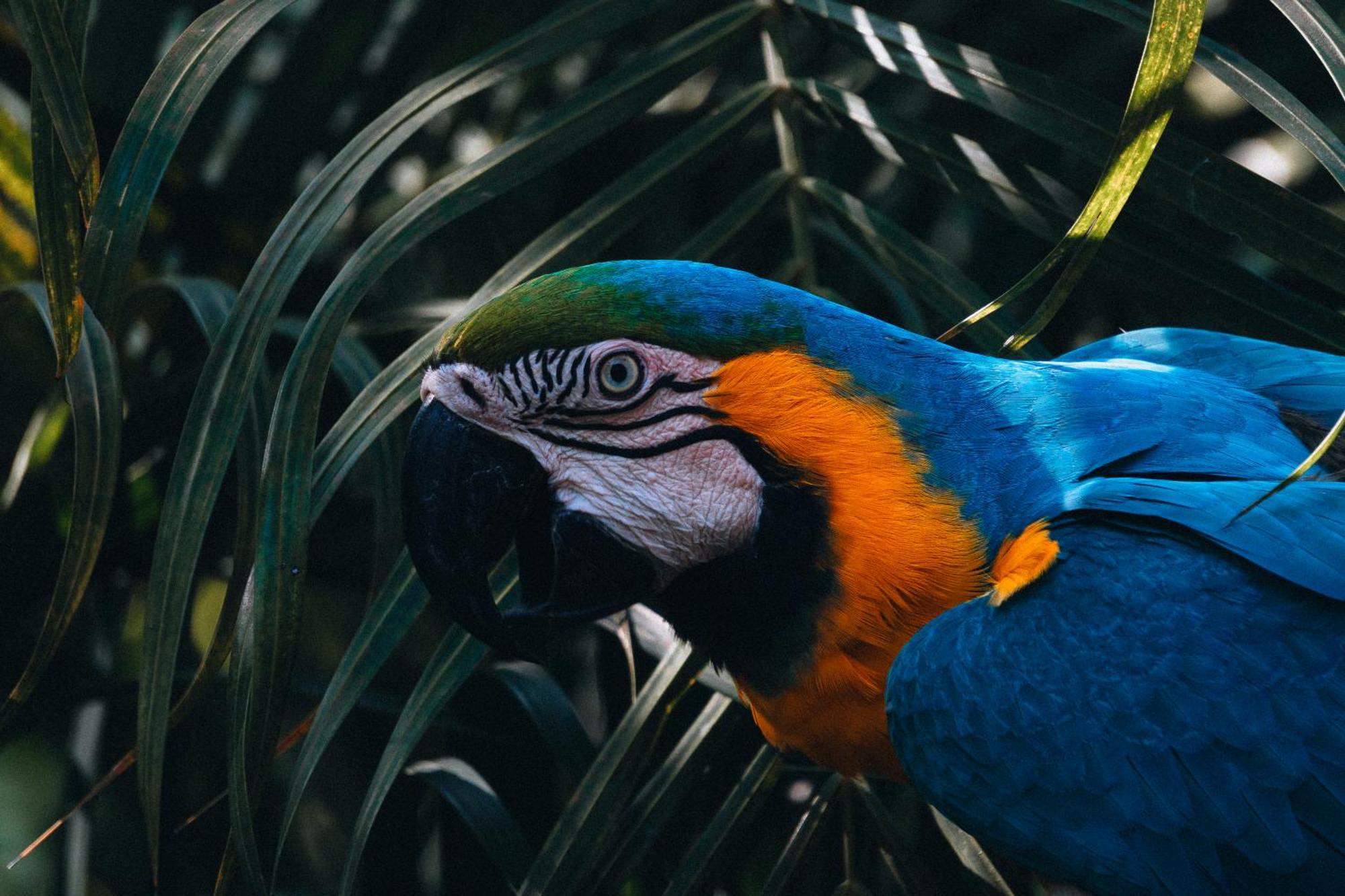 Hotel Maria Tayrona, Jungle And Sea Experience